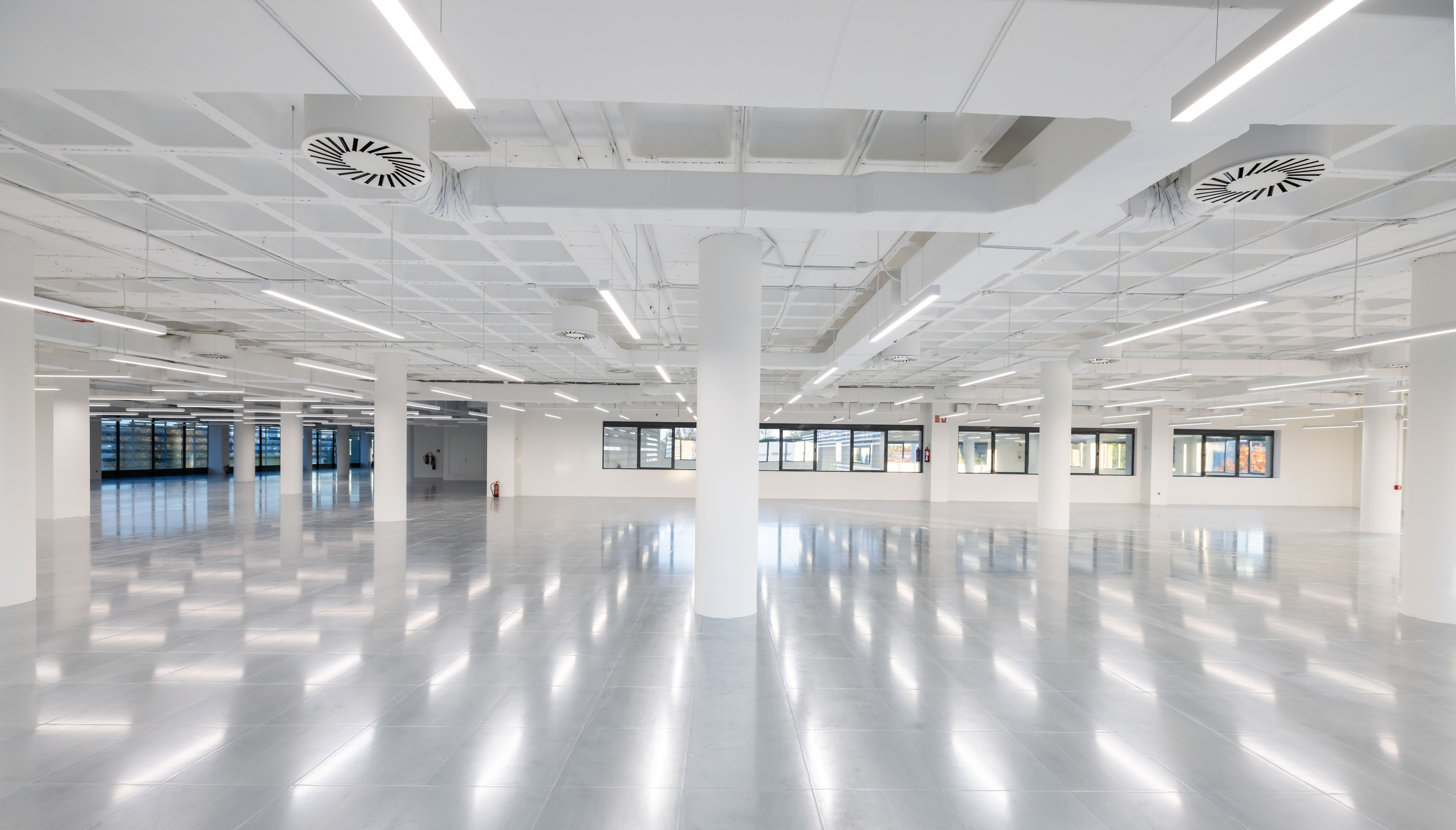 P. e. castellana norte ed b 4